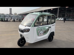 колеса пассажира 3 взрослых трицикла пассажира 800W трицикл электрического электрический